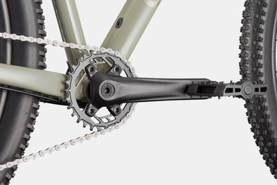 Trail 1 Cannondale 2025 Tiger Shark #5