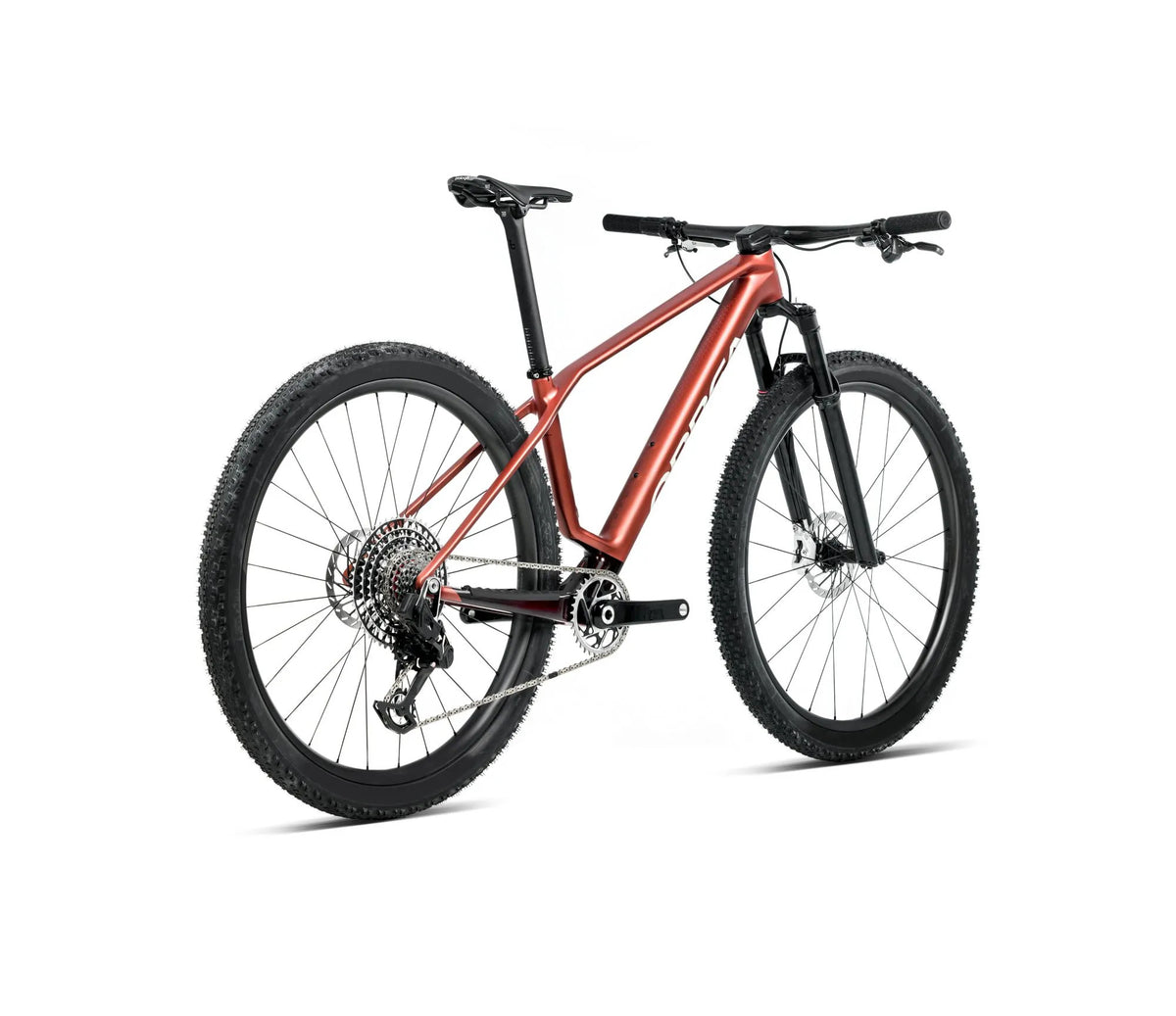 T218TTCC-F9-BACK-ALMA_MLTD